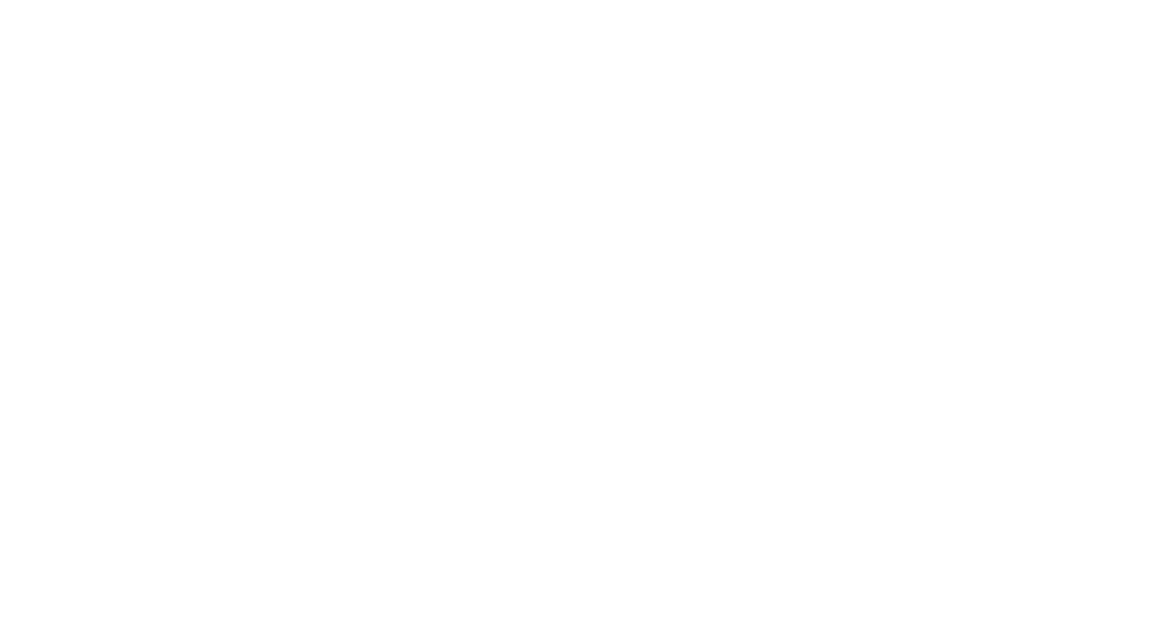 Design Director logo