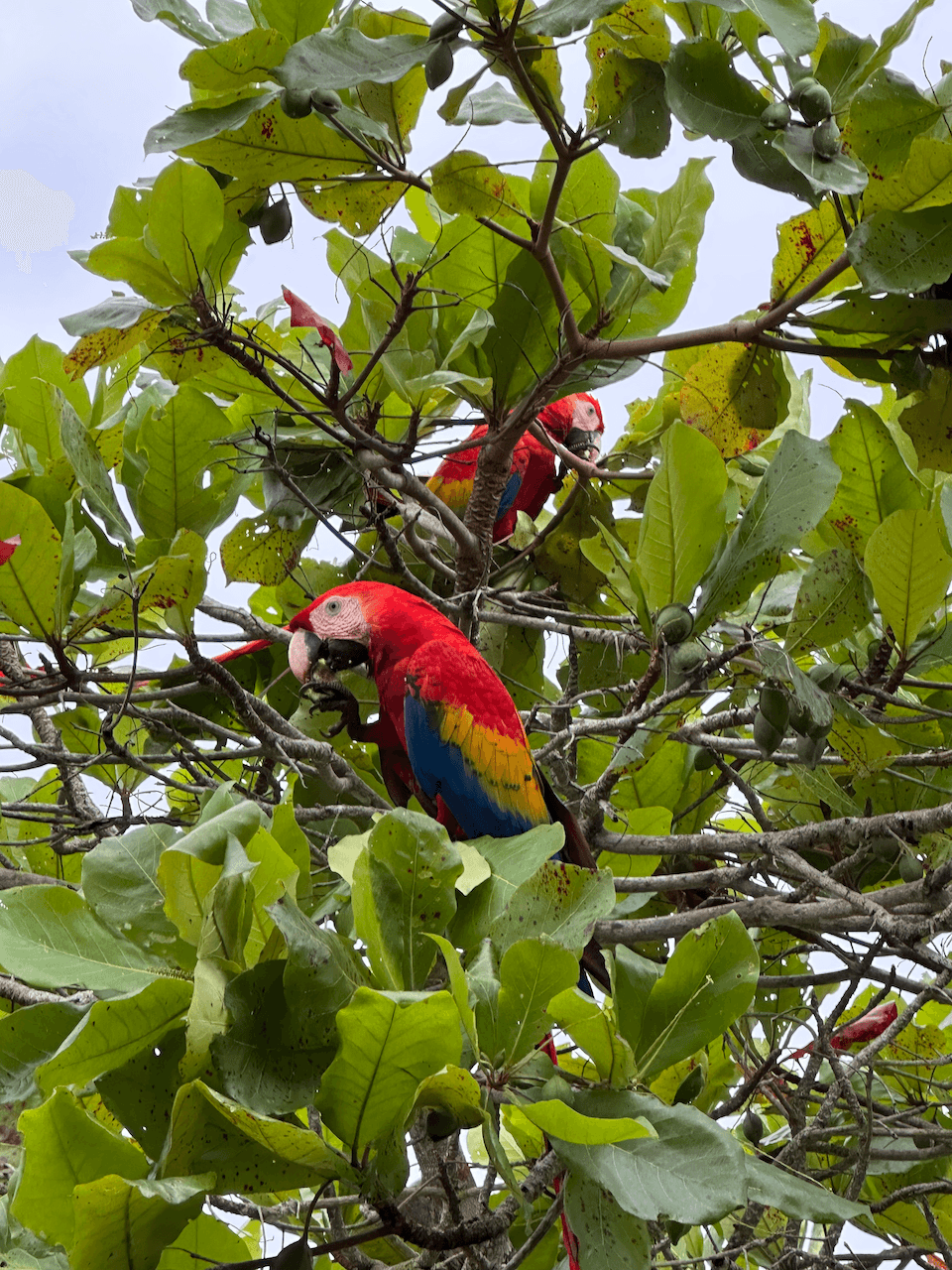 I love to explore new places, having traveled to 13 countries and dozens of US states.